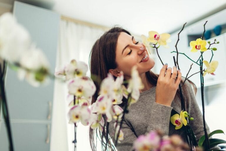 Woman Smelling Orchids