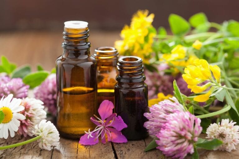 Plant Extracts
