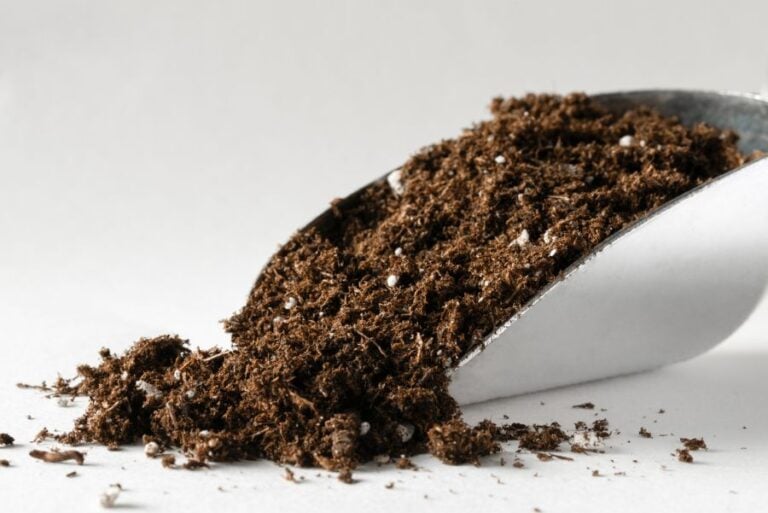 Scoop of Potting Mix