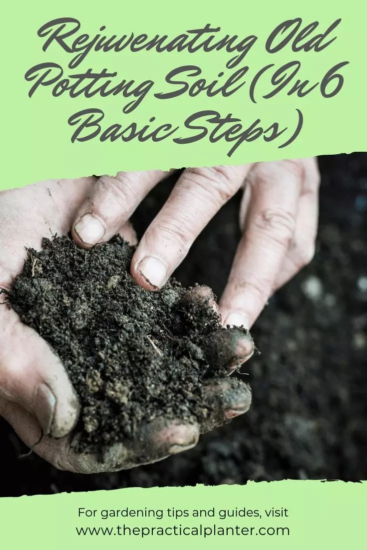 Rejuvenating Old Potting Soil (In 8 Basic Steps) The Practical Planter