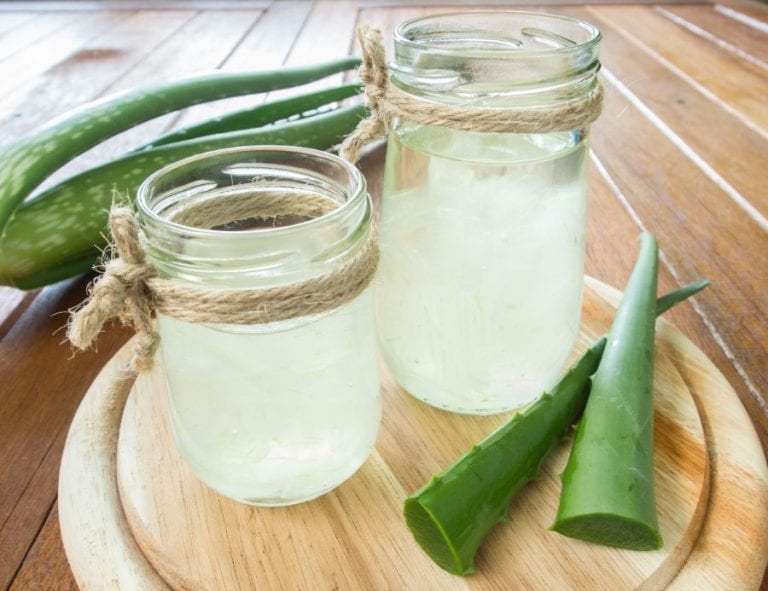 Aloe Plant Cuttings