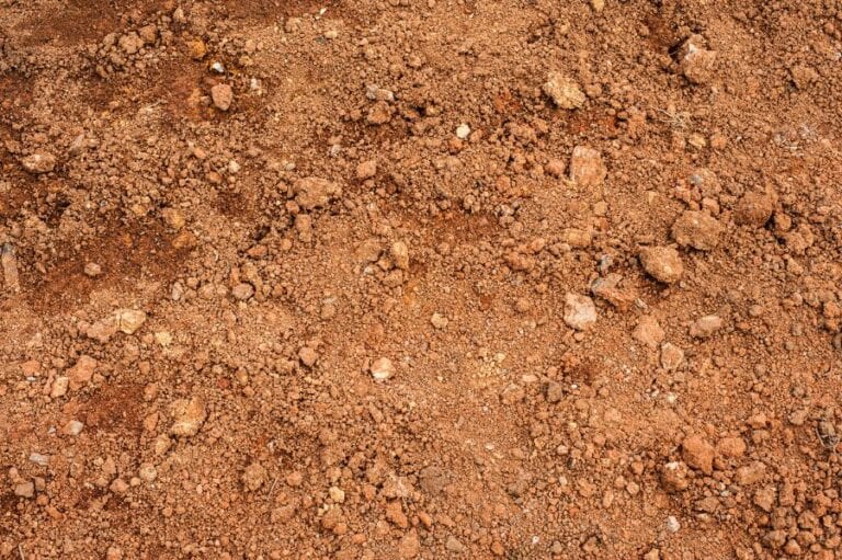 Clay Soil