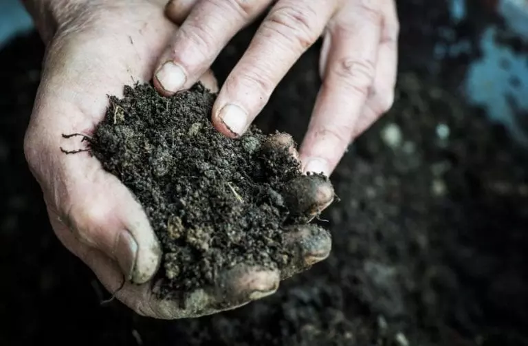 Handful of Soil