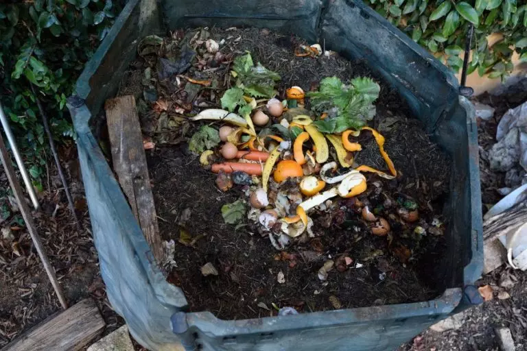 Compost Container