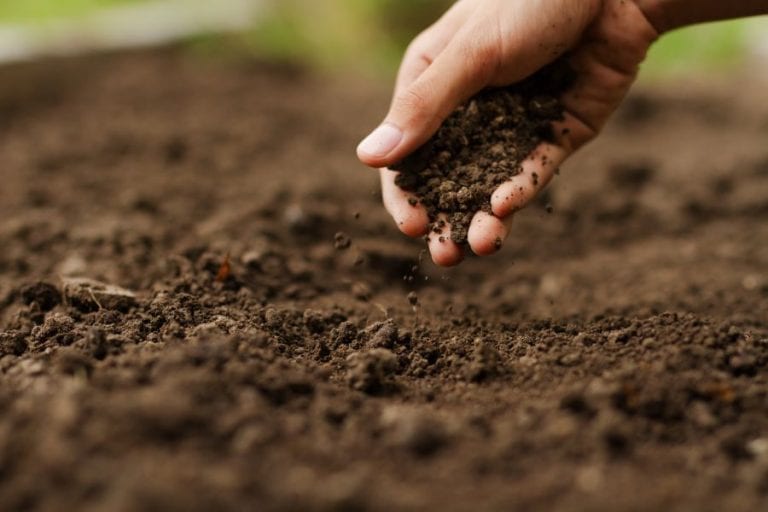 Garden Soil