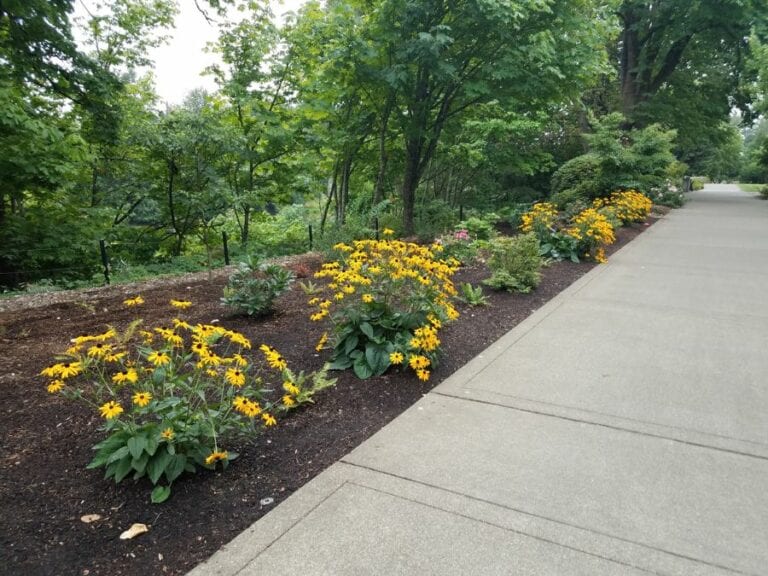 Flowerbed With Mulch Next to Sidewalk