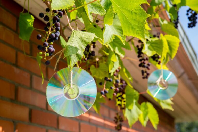 Homemade Reflective Bird Repellent