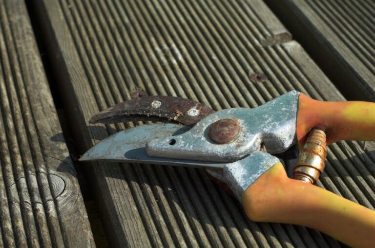 Rusty Pruning Shears on Deck Boards