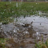 Rain Splashing in a Puddle After a Heavy Rain