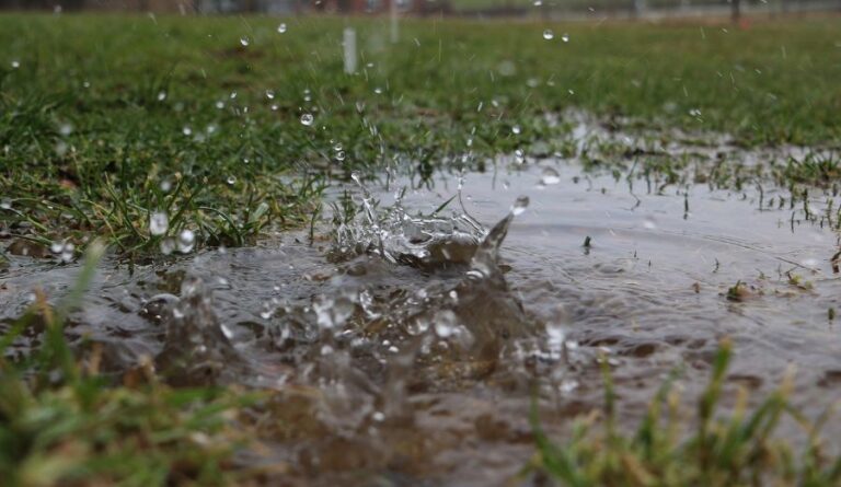 Rain Splashing in a Puddle After a Heavy Rain