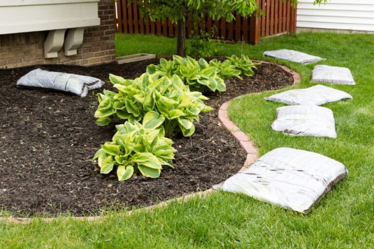 Can I Put Mulch Over Grass and Weeds? (The Pros and Cons) The