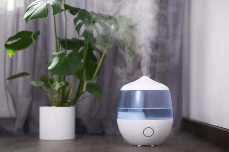Humidifier Being Used in the Same Room as a Potted Monstera