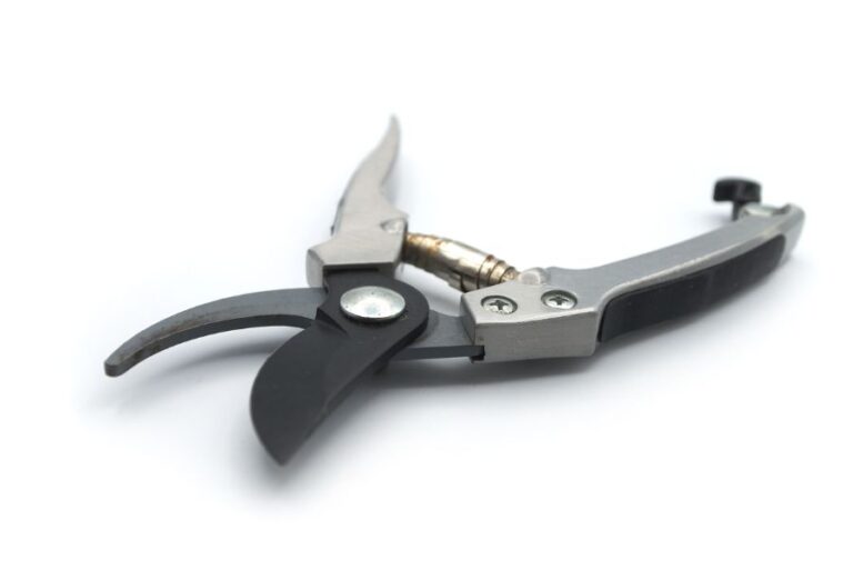 Metallic Pruning Shears
