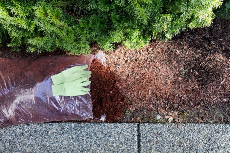 Adding New Mulch Over Old Mulch