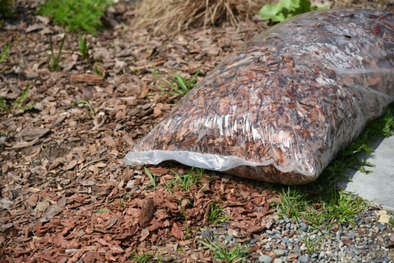 An Old Bag of Mulch