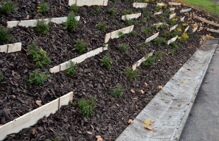 Boards Keeping Mulch in Place on a Slope