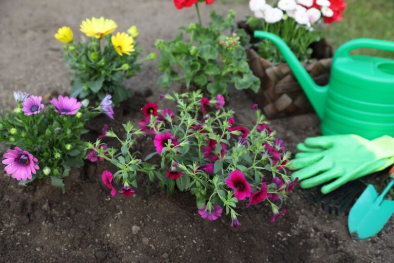 A Watering Can Near Petunias