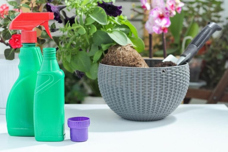 Liquid Fertilizer in Bottles in Front of a Petunia Plant