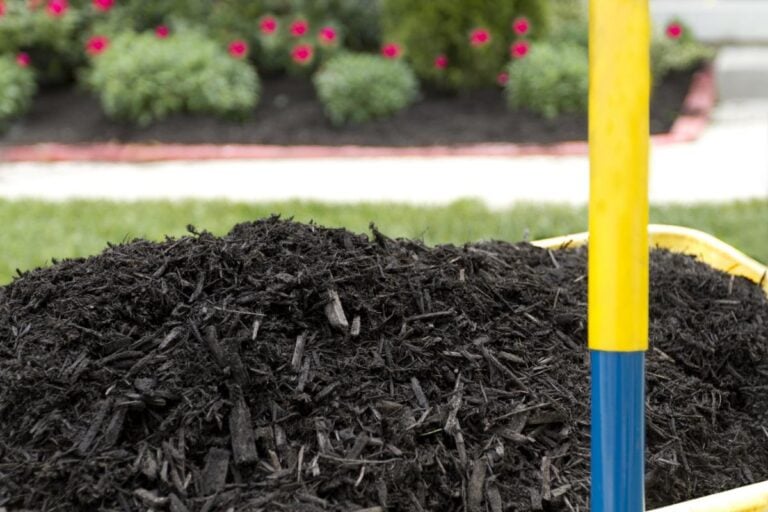 Extra Mulch in a Wheelbarrow