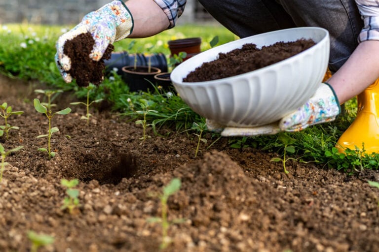 Adding Compost To Garden Soil