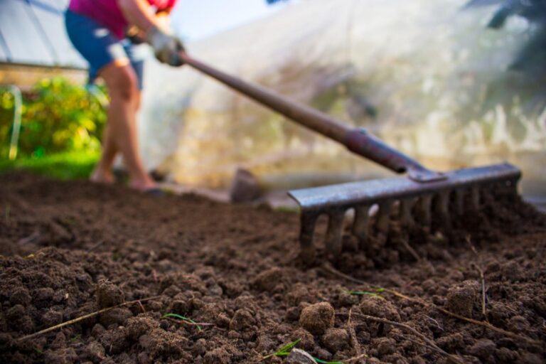 Prepping Soil for Garden