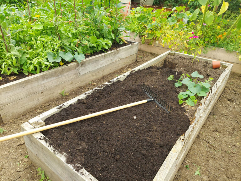 Filling a raised garden bed