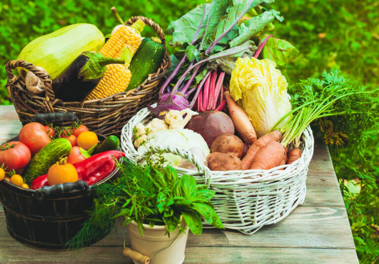 Homegrown harvested vegetables