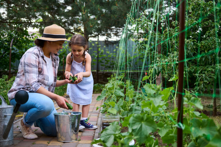 Mother and daughter harvesting food from an urban garden