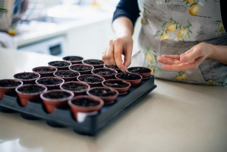 Woman Planting Seeds to Start Them Indoors