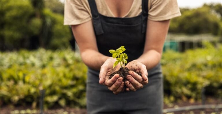 Woman With Gardening Apron Sharing a Seedling Vegetable Plant