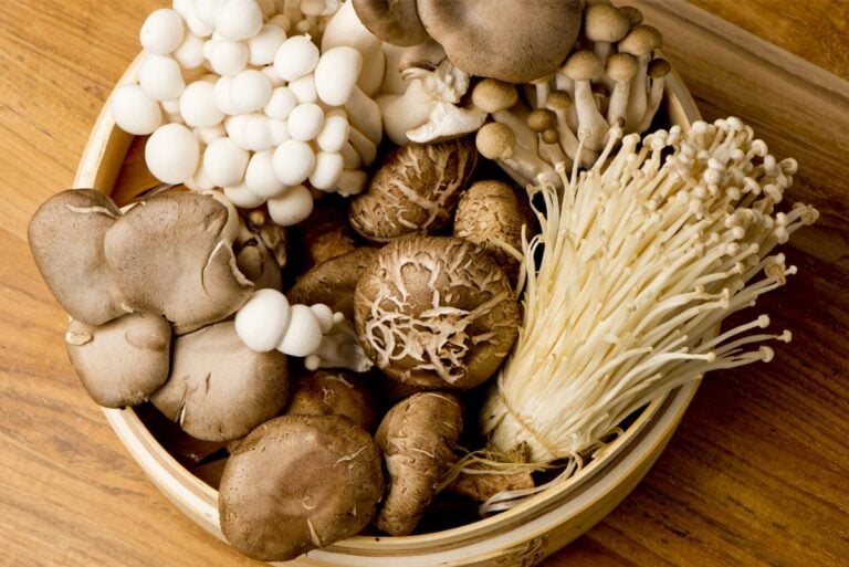Several Different Types of Mushrooms in a Bamboo Dish