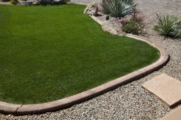 5 Ways to Grow a Thriving Garden Using Less Water