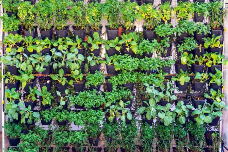 Growing Herbs and Greens in a Large Vertical Garden