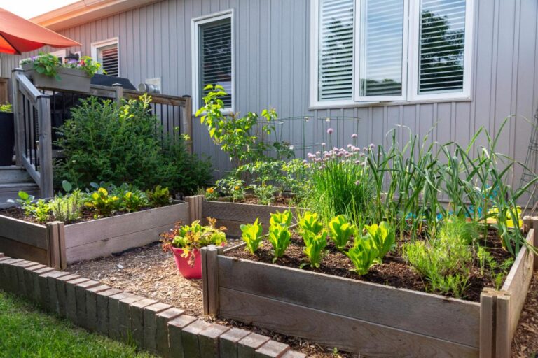 Tidy Vegetable Garden Using the Square Foot Gardening Method