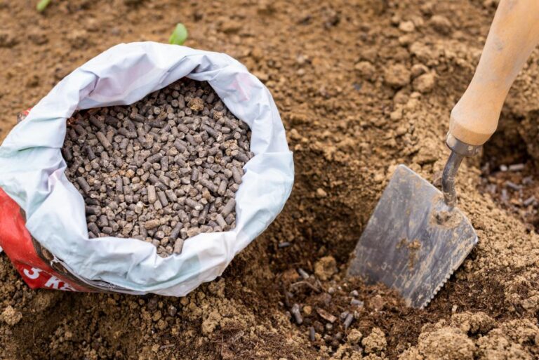 Using Pelleted Chicken Manure to Amend Garden Soil