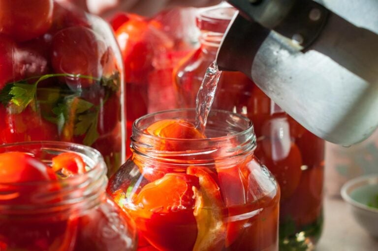Canning tomatoes