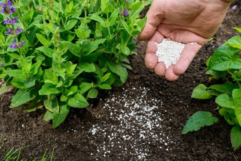 Fertilizing a plant