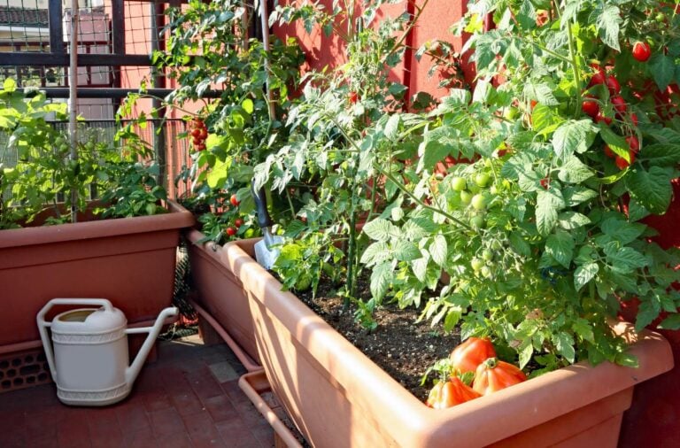 An apartment garden