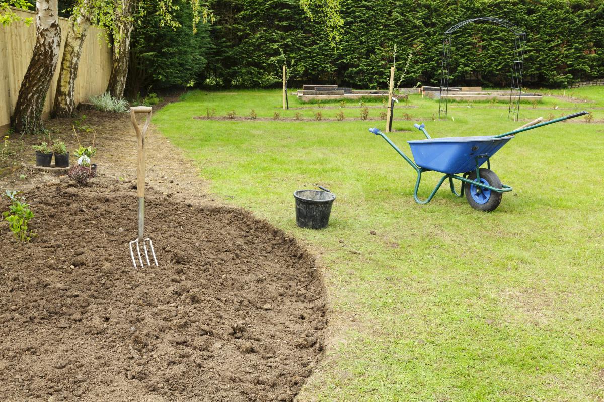 Empty garden bed area