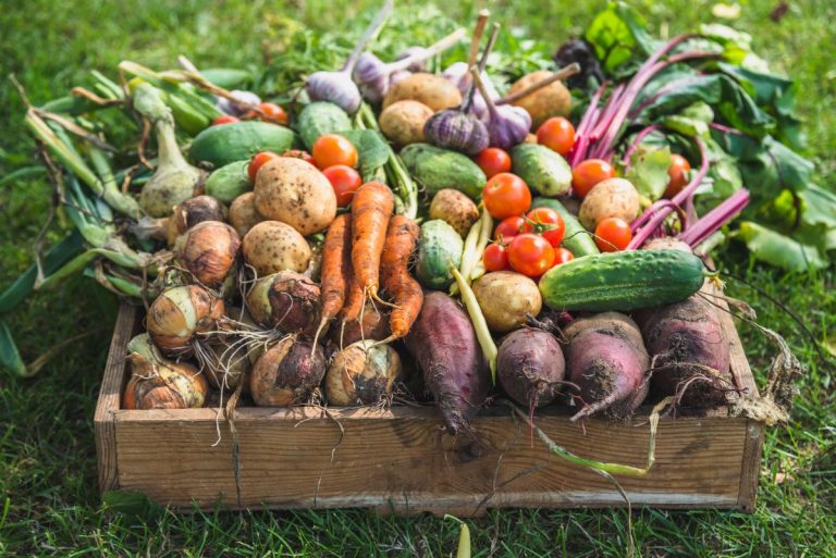 Fresh crops