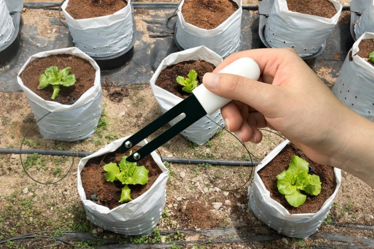 Electroculture gardening